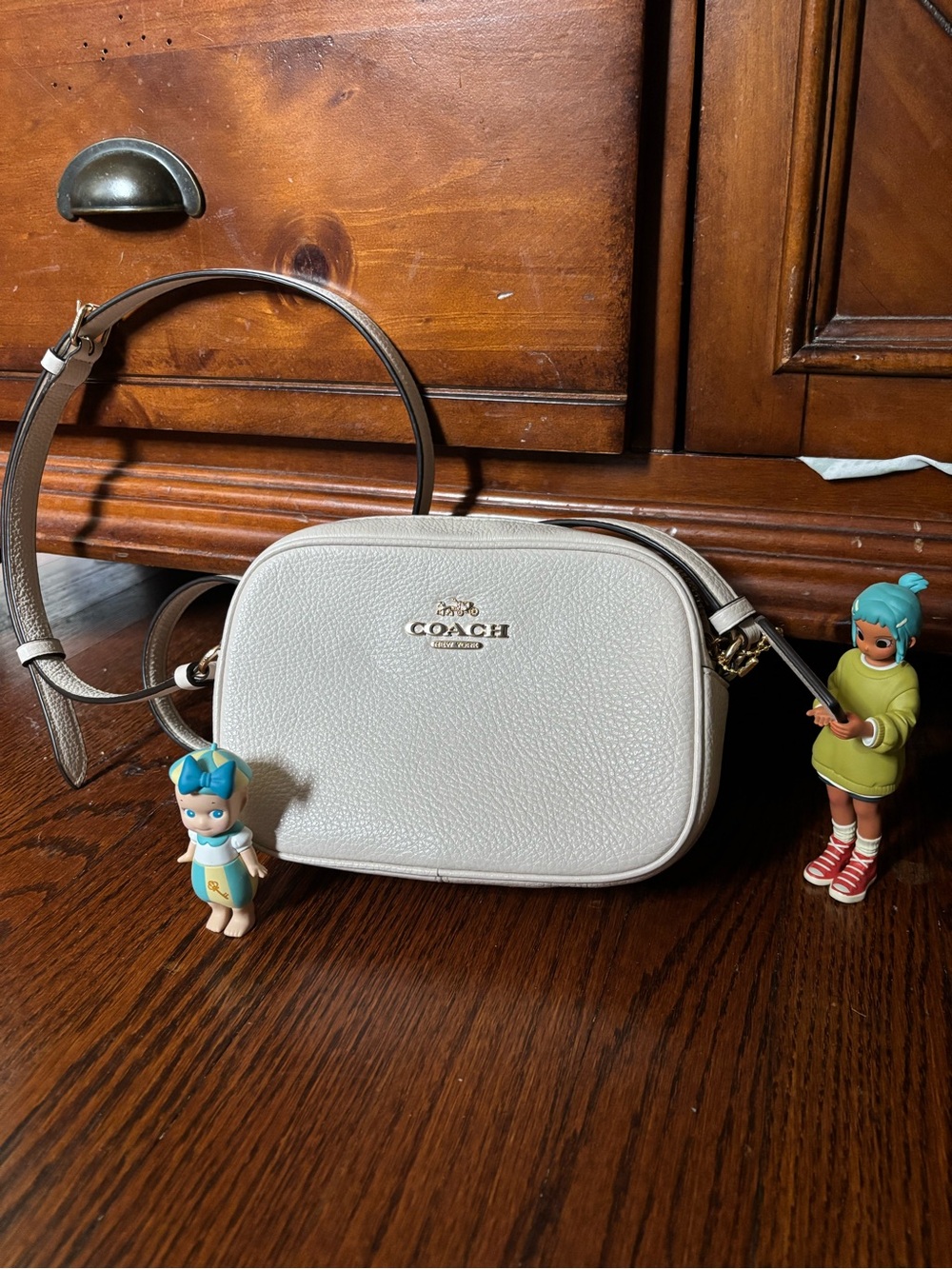 Coach Leather Crossbody Camera Bag in White with Gold Hardware